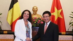 越南政府副总理兼外长范平明会见比利时参议长和冰岛外交兼外贸部长