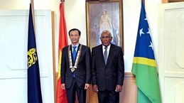 所罗门群岛与越南加强合作关系