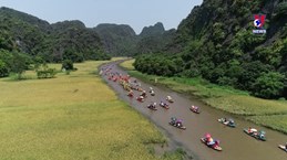 越南旅游的国际搜索量保持在较高水平