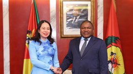 越南国家副主席武氏映春会见莫桑比克领导人