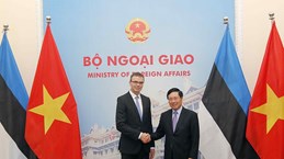 越南政府副总理兼外长范平明与爱沙尼亚外长斯旺·米克塞尔举行会谈