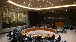 越南与联合国安理会：越南呼吁尽快在黎巴嫩组建新政府