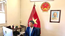 越南与巴巴多斯促进双边合作