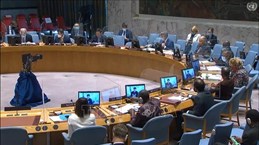 越南与联合国安理会：越南呼吁加强对苏丹平民的保护