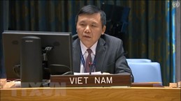 越南与联合国安理会：越南呼吁马里加强民族和谐和推进过渡进程