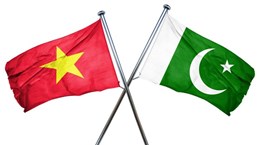 越南国家主席阮春福就巴基斯坦前总统马姆努恩·侯赛因逝世向阿里夫·阿尔维总统致唁电 