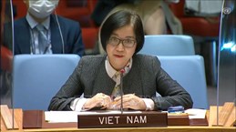 越南与联合国安理会：越南呼吁有关各方克制 对以色列-巴勒斯坦问题进行对话和谈判