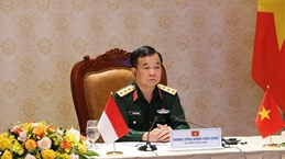 第二届越南与印度尼西亚国防政策对话以视频方式举行 