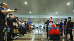 再一批共有259名旅居乌克兰越南公民搭乘第三班航班从波兰回国