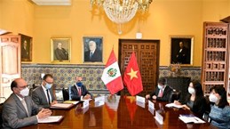 秘鲁将越南视为东南亚重要伙伴