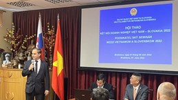 积极推进越南与斯洛伐克企业的对接  加强双边贸易关系