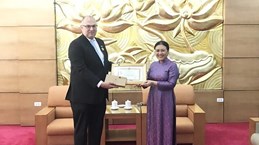 授予丹麦驻越南大使“致力于各民族之间的和平和友谊”勋章
