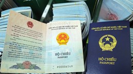 芬兰暂停承认越南新版护照