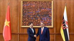 越南外长同文莱外长共同主持双边合作联合委员会第二次会议
