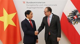  越南外交部部长裴青山对奥地利进行正式访问