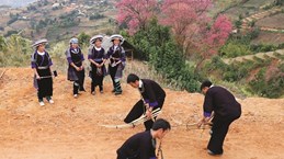 芦笙——安沛省芒炉山谷傣族人的独特乐器