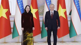越南国家副主席武氏映春会见出席亚信第六次峰会的各国领导人
