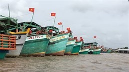 金瓯省实现渔船监测设备安装全覆盖