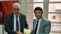 越南《共产杂志》副主编阮玉河会见埃及各政党领导人