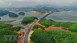 2023年越南广宁省力争发展绿色经济