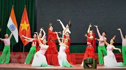 越南文化之夜活动在印度举行
