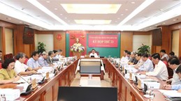 越共中央检查委员会建议对部分领导干部和党组织给予纪律处分