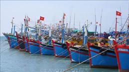 乂安省渔民严格执行打击IUU捕捞规定