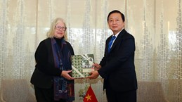 陈红河副总理会见瑞士-越南友好协会主席安居斯卡·韦尔