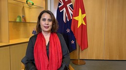 新西兰驻越南大使：越新在经贸政策和包容性增长方面具有共同点 
