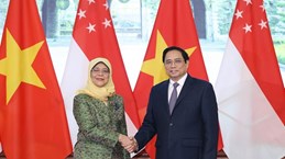 范明政总理正式访问两国之旅提升越南与新加坡和文莱之间的双边合作水平