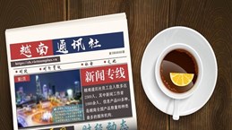 ☕️越通社新闻下午茶（2023.2.7）