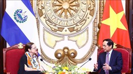 越南外交部部长裴青山与萨尔瓦多外交部部长希尔举行会谈