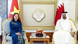 越南国家副主席与卡塔尔副埃米尔举行会谈