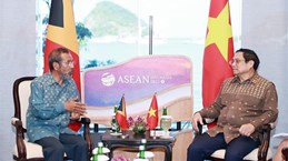 第42届东盟峰会：范明政总理会见东帝汶总理塔乌尔·马坦