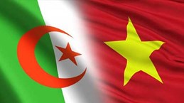 越南代表当选阿尔及利亚革命国际之友协会执行委员会委员