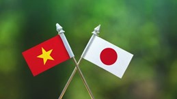 越南政府总理范明政就越日建交50周年向日本首相致贺电