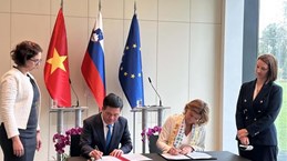 越南与斯洛文尼亚合作关系迎来新的发展动力