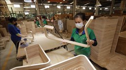 平阳省木材产业释放出积极复苏迹象