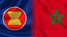 东盟与摩洛哥启动领域对话伙伴关系