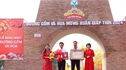 永隆省创下“越南最长赤陶与花卉街”纪录