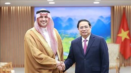 沙特阿拉伯驻越大使：祝愿越南尽快成为区域经济发展龙头