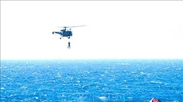 越南驻埃及大使馆紧急支援红海遇险船员