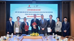 越南油气集团与丹麦CIP集团开展可再生能源合作项目
