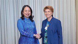 越南国家副主席武氏映春会见瑞士、拉脱维亚领导人和纽约市长