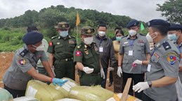 缅甸北部查获超过26吨前体化学品