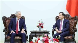 越南政府副总理黎明慨会见英国前首相、TBI研究所执行主席托尼·布莱尔