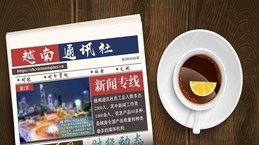 ☕️越通社新闻下午茶（2024.4.21）