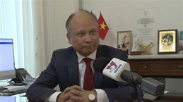 越南驻法国大使丁全胜：拓展与经合组织和法国关系的基础