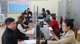 北江省积极开展数字化转型领域人力资源培训计划 