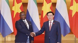 越南国会主席王廷惠会见塞拉利昂总统比奥